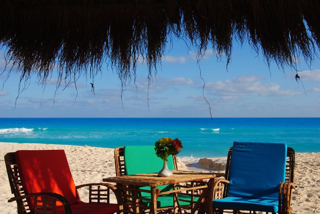 Aida Beach Hotel - אל עלמיין מראה חיצוני תמונה