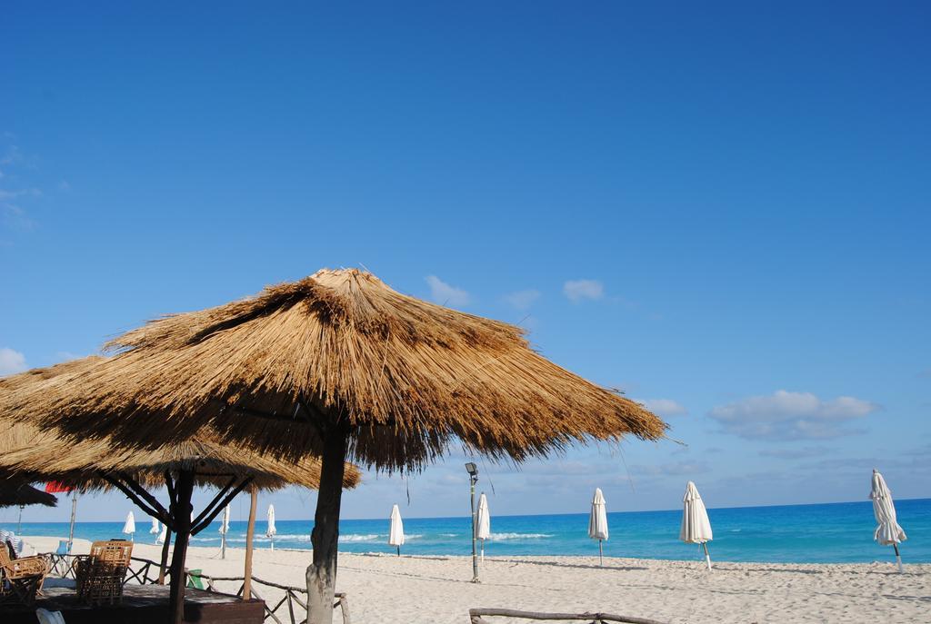 Aida Beach Hotel - אל עלמיין מראה חיצוני תמונה