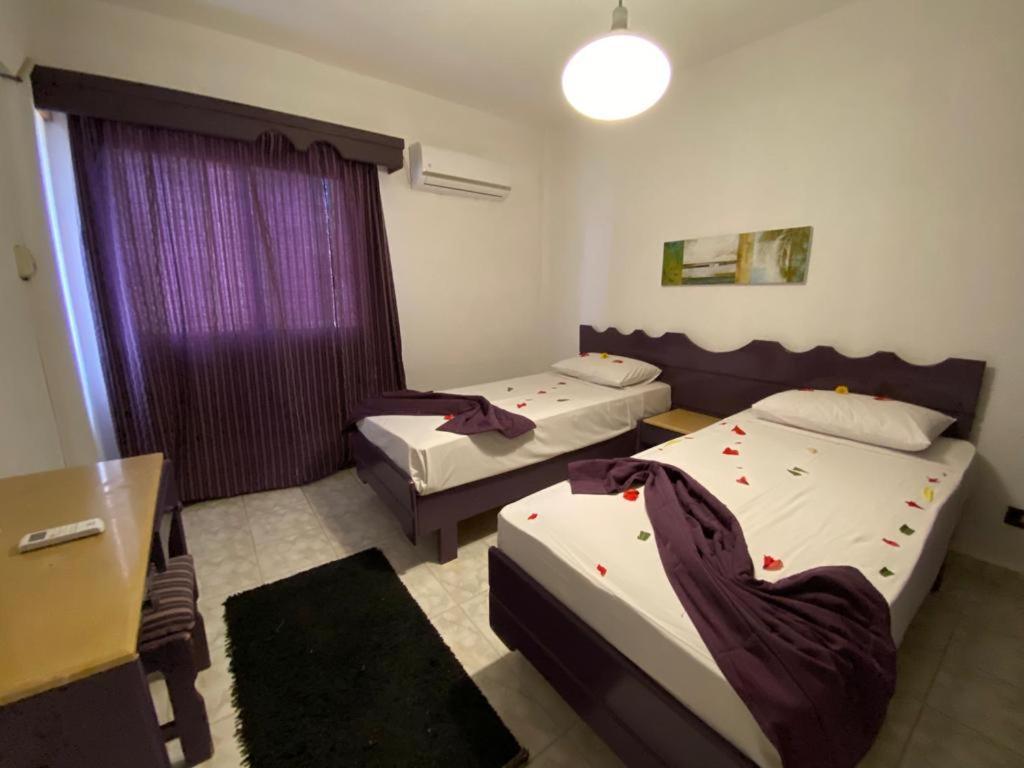 Aida Beach Hotel - אל עלמיין מראה חיצוני תמונה