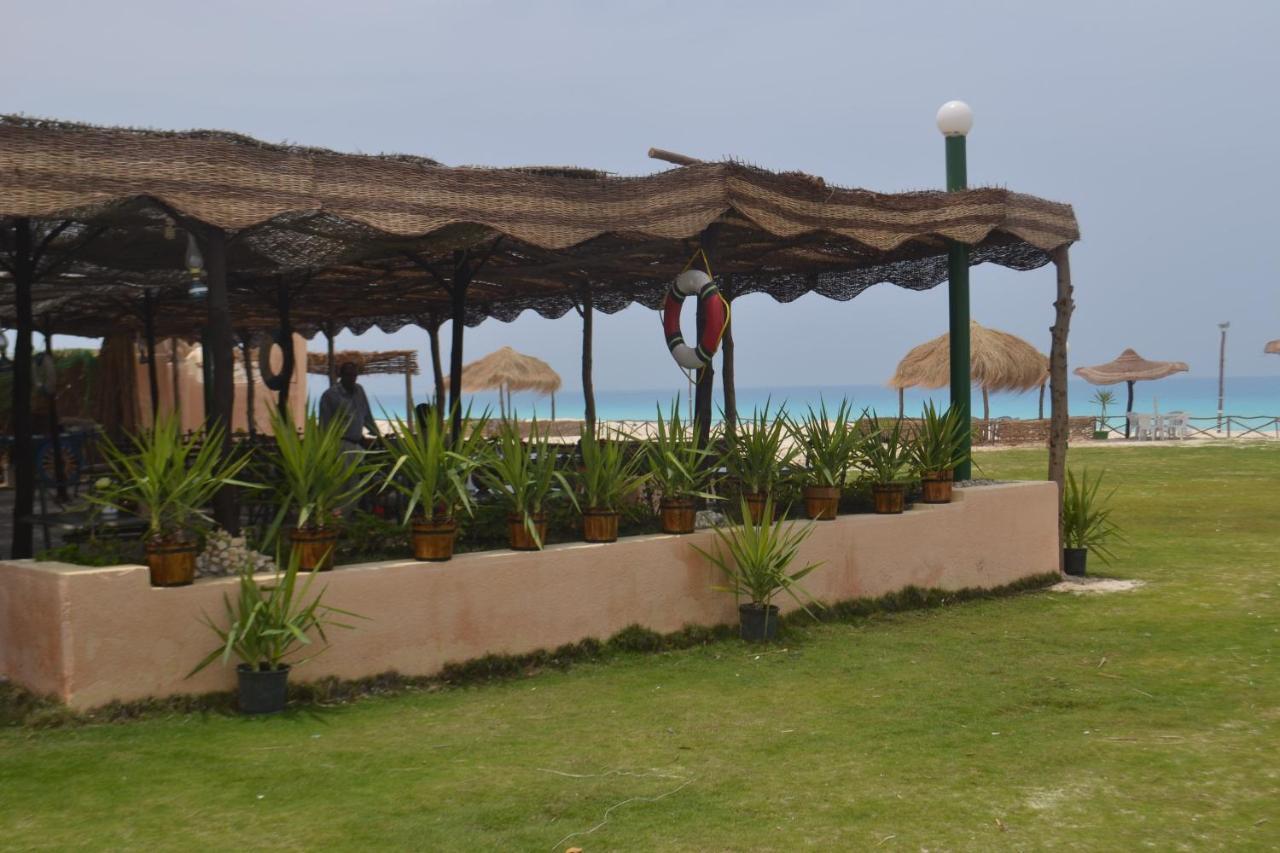 Aida Beach Hotel - אל עלמיין מראה חיצוני תמונה